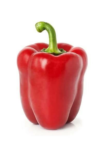 Red Pepper / Capsicum x1