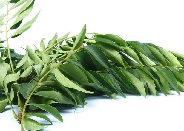 Curry Leaves x1