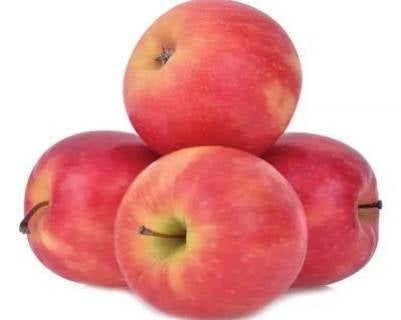 Pink Lady Apple x4