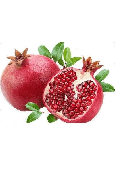 Pomegranate x1