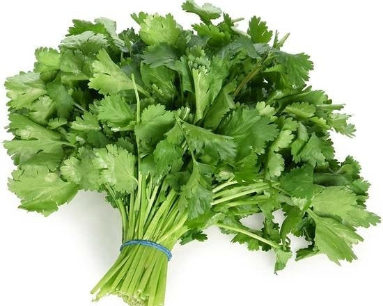 Coriander x1 Bunch