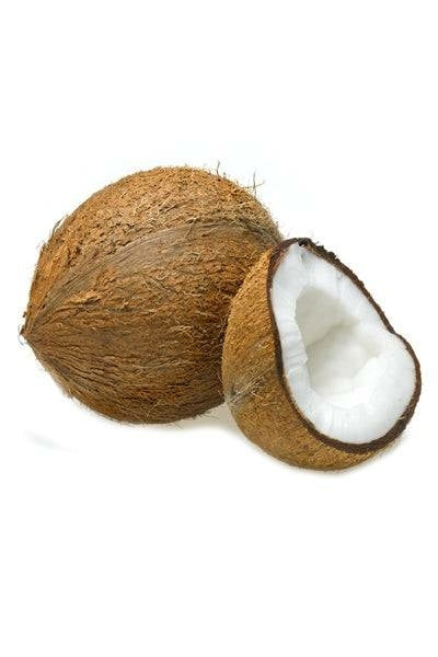 Coconut x 1