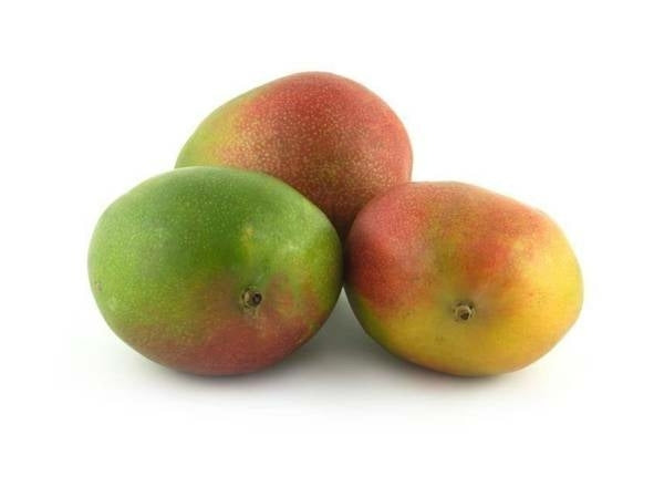 Brazilian Mango x1