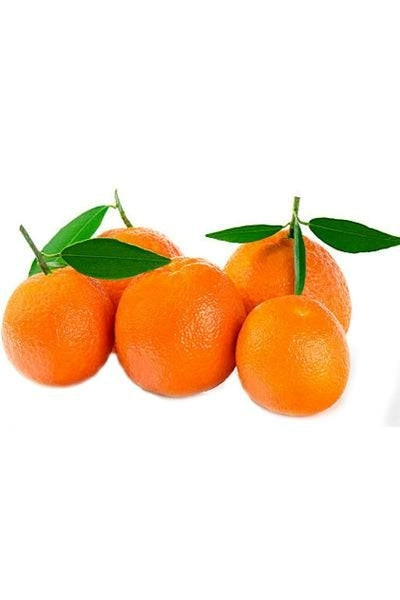 Oranges Small x 5