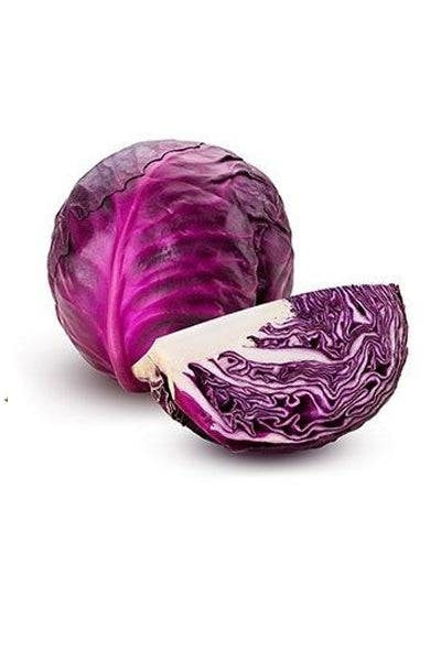 Cabbage Red x 1