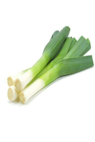 Leek x1